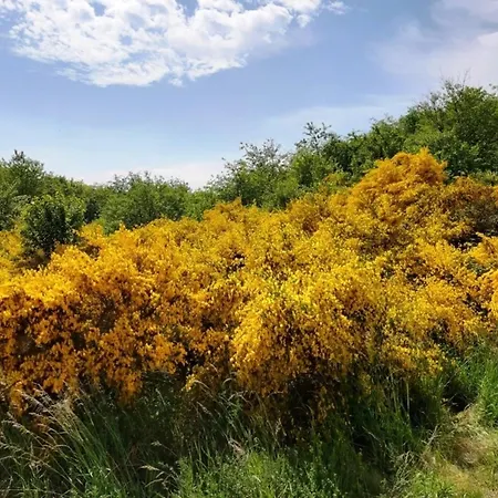 Nordisch Kuehl アパート Alt Reddevitz