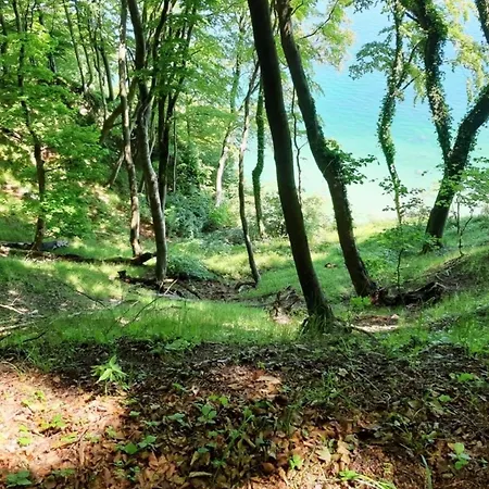 Nordisch Kuehl アパート