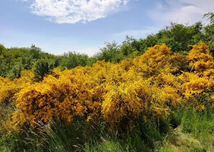 Nordisch Kuehl شقة Alt Reddevitz